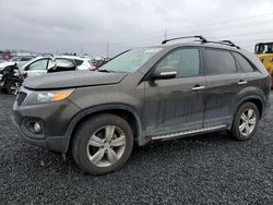 Salvage cars for sale at Eugene, OR auction: 2012 KIA Sorento EX