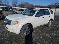 Ford Escape xls salvage cars for sale: 2010 Ford Escape XLS