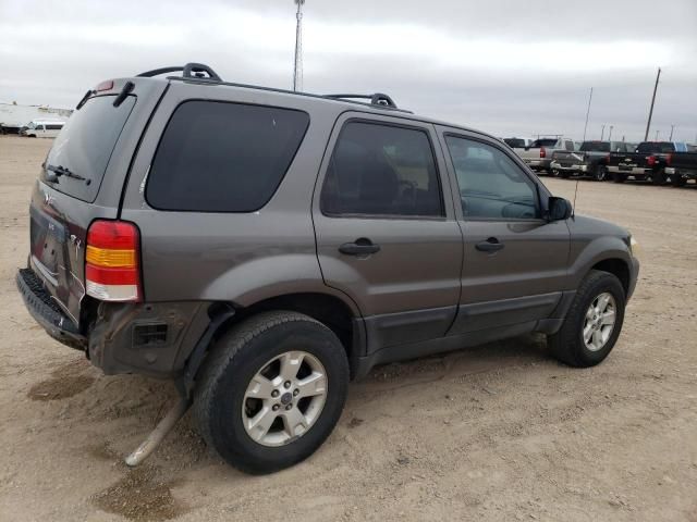 2006 Ford Escape XLT