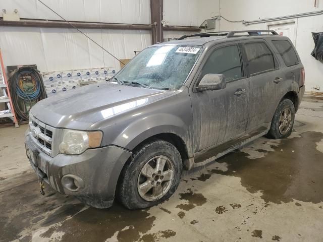 2009 Ford Escape XLT