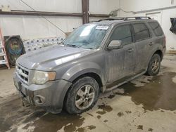 Salvage cars for sale at Nisku, AB auction: 2009 Ford Escape XLT