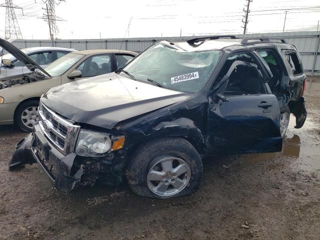 2010 Ford Escape XLT