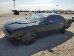 Dodge Challenger salvage cars for sale: 2017 Dodge Challenger R/T 392