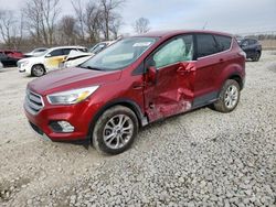 Salvage cars for sale from Copart Cicero, IN: 2017 Ford Escape SE