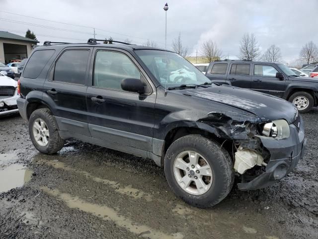 2005 Ford Escape XLT