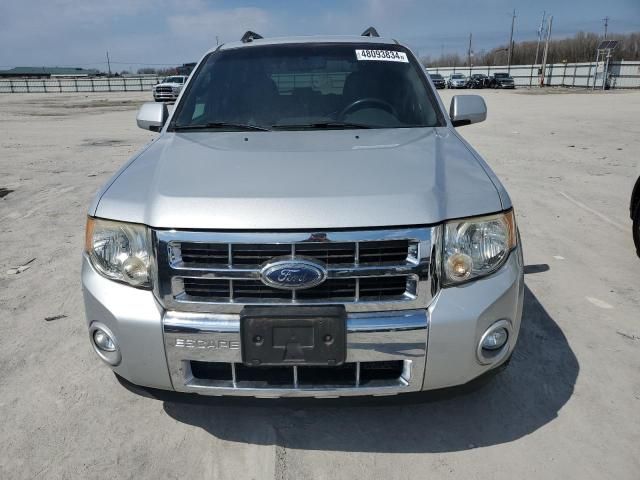 2009 Ford Escape Limited