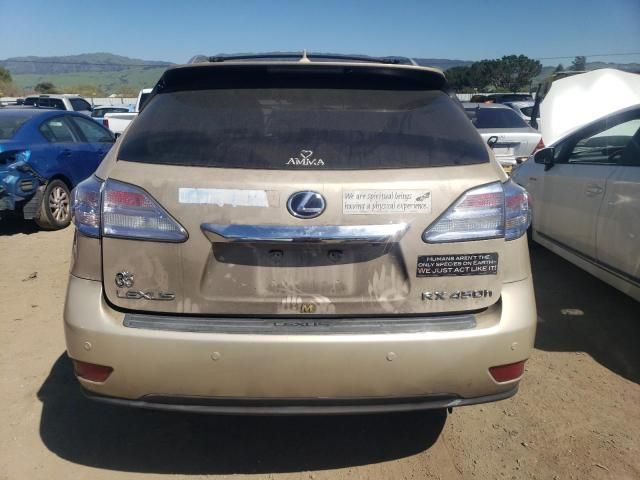 2010 Lexus RX 450