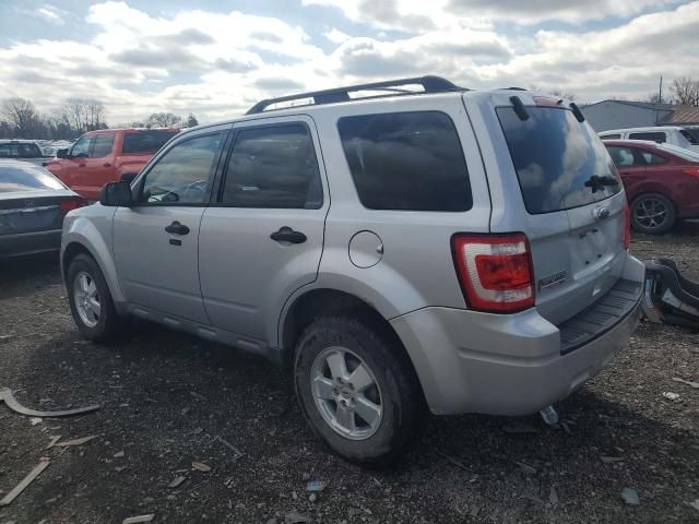 2011 Ford Escape XLT