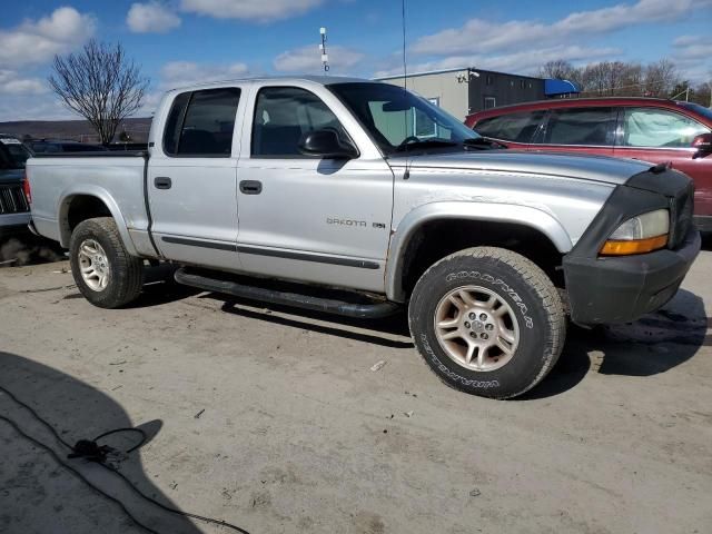 2001 Dodge Dakota Quattro