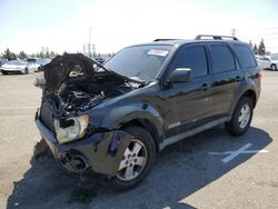 Vehiculos salvage en venta de Copart Rancho Cucamonga, CA: 2008 Ford Escape XLT