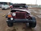 2004 Jeep Wrangler / TJ Sahara