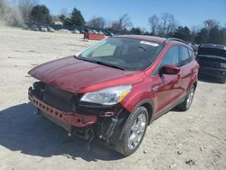 2016 Ford Escape SE en venta en Madisonville, TN