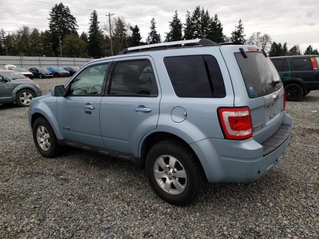 2009 Ford Escape Hybrid