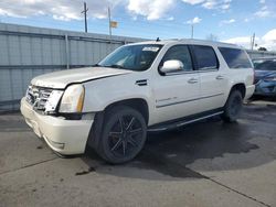 Salvage cars for sale at auction: 2007 Cadillac Escalade ESV