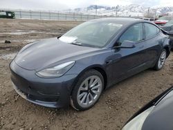 Salvage cars for sale from Copart Magna, UT: 2023 Tesla Model 3