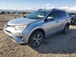 Toyota Rav4 XLE Vehiculos salvage en venta: 2017 Toyota Rav4 XLE