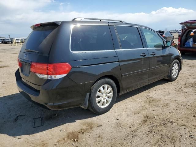 2010 Honda Odyssey EXL