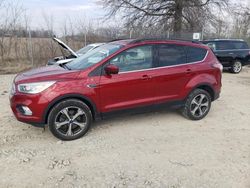 Salvage cars for sale from Copart Cicero, IN: 2017 Ford Escape SE