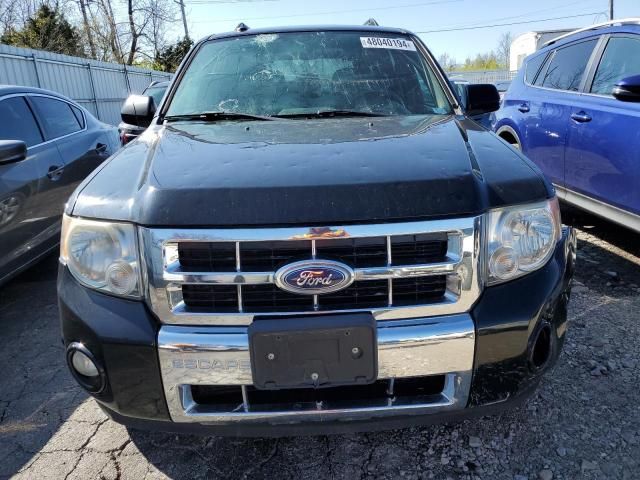 2010 Ford Escape Limited