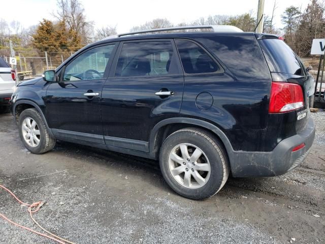 2011 KIA Sorento Base