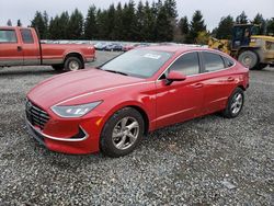 Salvage cars for sale at Graham, WA auction: 2022 Hyundai Sonata SE
