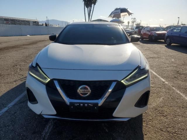 2019 Nissan Maxima S