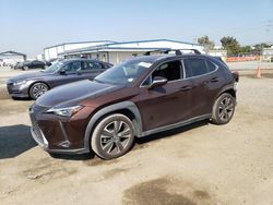 Salvage cars for sale from Copart San Diego, CA: 2019 Lexus UX 200
