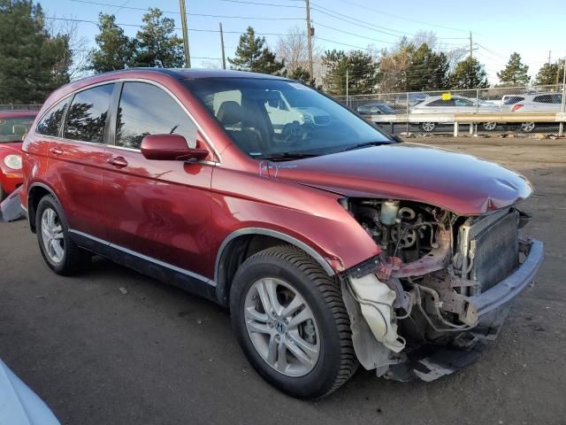 2010 Honda CR-V EXL