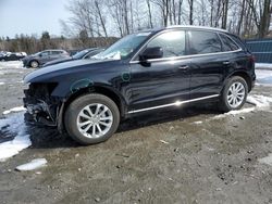 Salvage cars for sale at Candia, NH auction: 2016 Audi Q5 Premium Plus