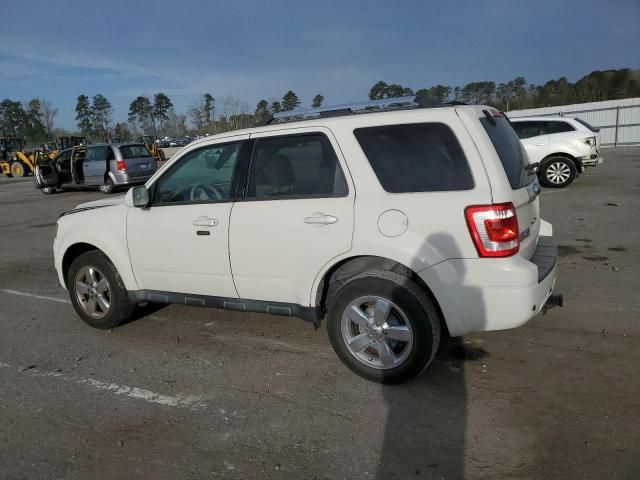 2011 Ford Escape Limited