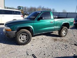 Salvage cars for sale from Copart Lawrenceburg, KY: 2004 Dodge Dakota SXT