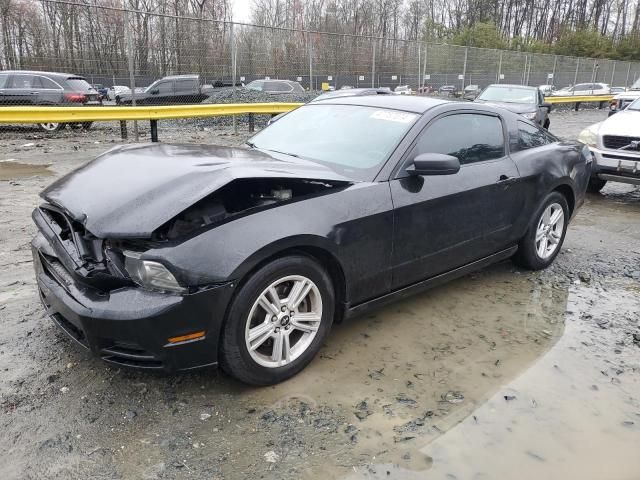 2014 Ford Mustang