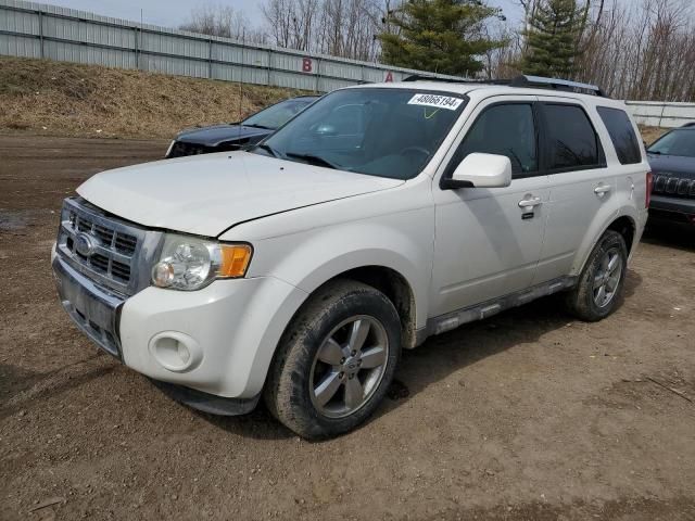 2009 Ford Escape Limited