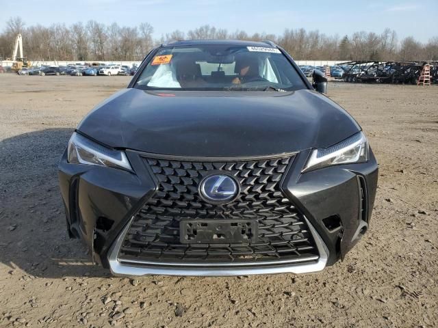 2019 Lexus UX 250H