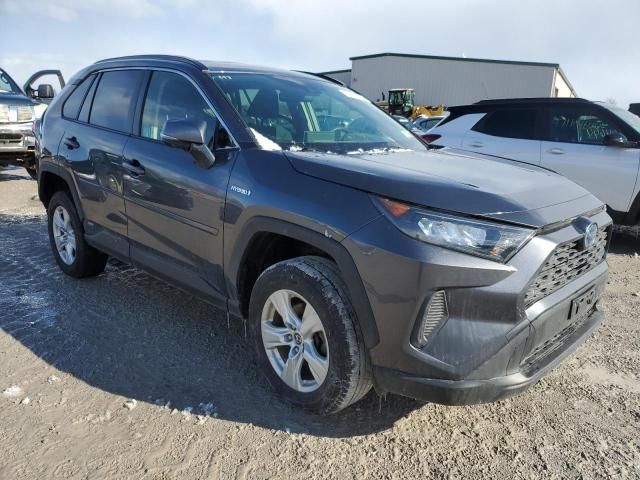 2019 Toyota Rav4 LE