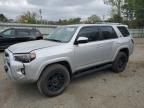 2023 Toyota 4runner SE