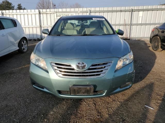 2009 Toyota Camry Hybrid