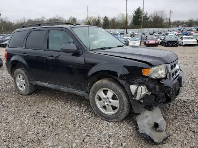 2012 Ford Escape XLT