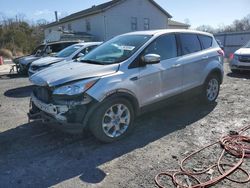 Salvage cars for sale from Copart York Haven, PA: 2013 Ford Escape SEL