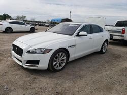 Salvage cars for sale from Copart Newton, AL: 2019 Jaguar XF Premium