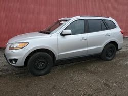 Hyundai salvage cars for sale: 2011 Hyundai Santa FE GLS