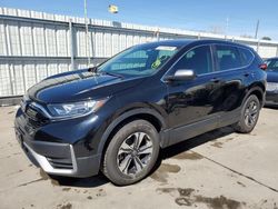 Honda CR-V LX salvage cars for sale: 2020 Honda CR-V LX