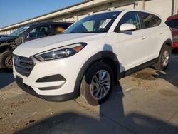 Salvage cars for sale from Copart Louisville, KY: 2016 Hyundai Tucson SE