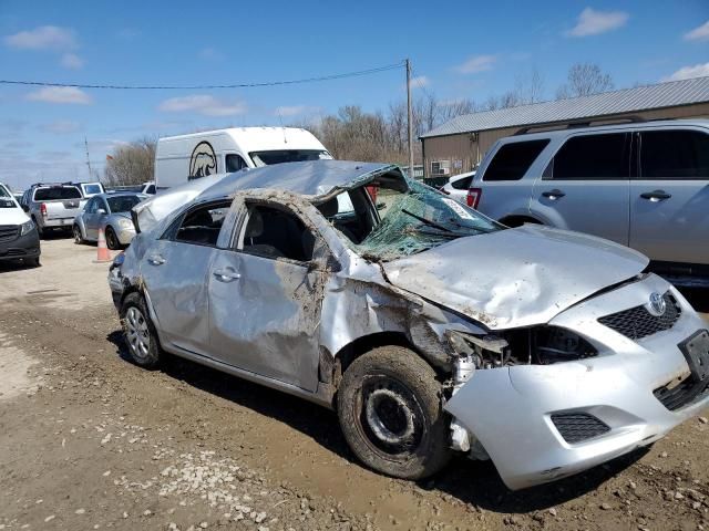 2010 Toyota Corolla Base