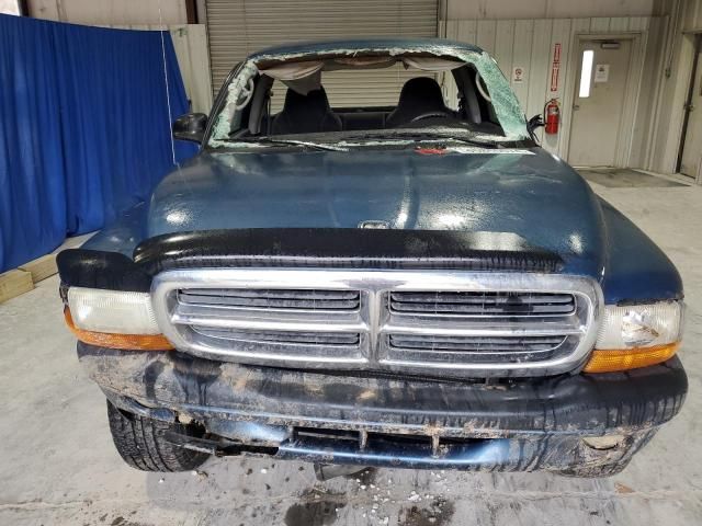 2004 Dodge Dakota Sport