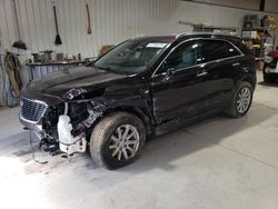 Salvage cars for sale at Chambersburg, PA auction: 2021 Cadillac XT4 Luxury