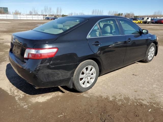 2009 Toyota Camry Hybrid