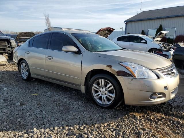 2010 Nissan Altima Base