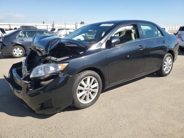 2009 Toyota Corolla Base