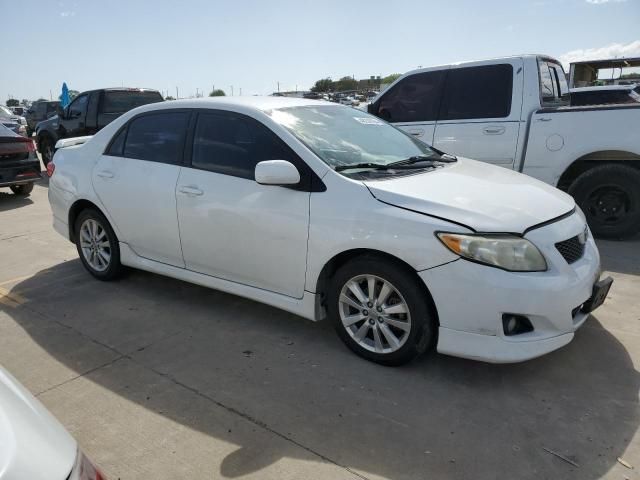 2010 Toyota Corolla Base